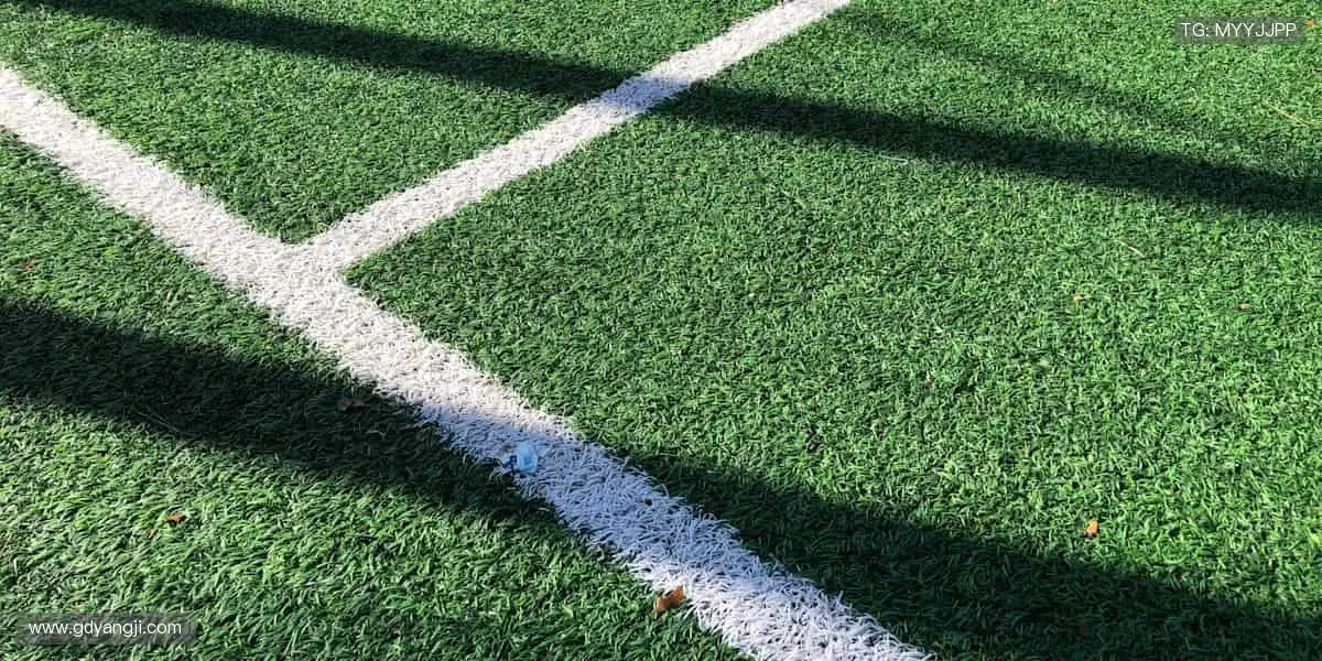 🏅专业赛事，成就你的冠军梦想！